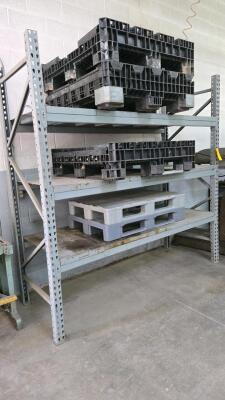 LOT PALLET RACK AND PLASTIC PALLETS - 2